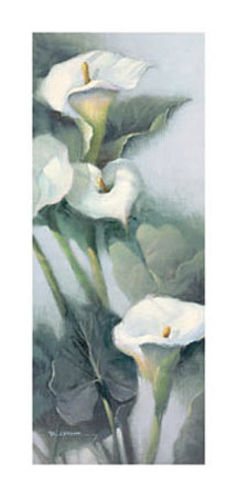 Calla Lily Garden by Paul Mathenia Pricing Limited Edition Print image
