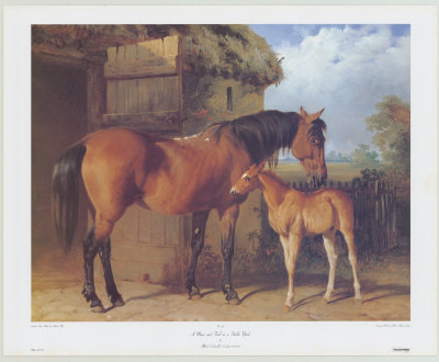 Mare And Foal In A Stable Yard by Alfred Carbould Pricing Limited Edition Print image