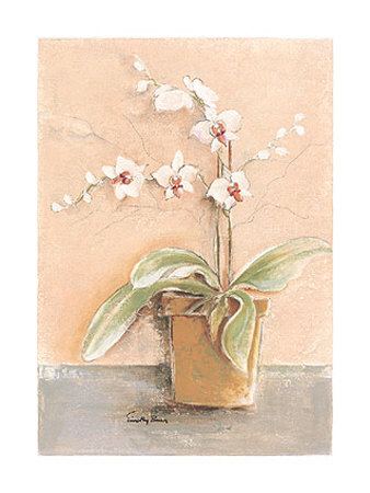 Orchid Variation I by Timothy Baar Pricing Limited Edition Print image