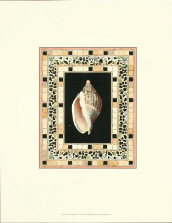 Shell In Mosaic Iii by Deborah Bookman Pricing Limited Edition Print image