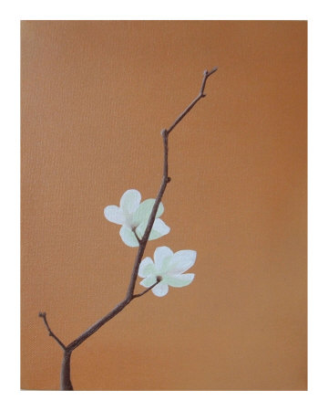 Blossom Ii by Anna Van Zwol Pricing Limited Edition Print image