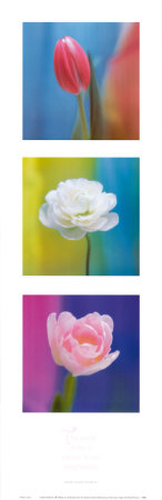 Floral Canvas by Kei Muto Pricing Limited Edition Print image