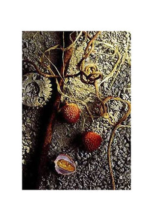 Litchis by Yves Paquin Pricing Limited Edition Print image