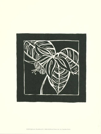 Exotic Woodblock In Black Iv by Chariklia Zarris Pricing Limited Edition Print image