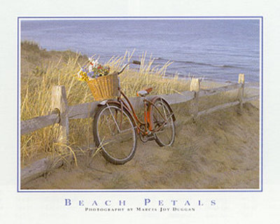 Beach Petals by Marcia Joy Duggan Pricing Limited Edition Print image