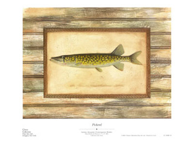 Pickerel by Zachary Alexander Pricing Limited Edition Print image