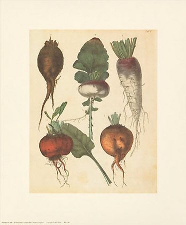 Turnips And Roots by Cawler Pricing Limited Edition Print image