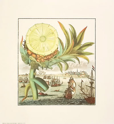 Pineapple Cut Open With Ships by Johann Christof Volckamer Pricing Limited Edition Print image