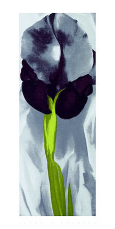 Dark Iris I, C.1927 by Georgia O'keeffe Pricing Limited Edition Print image