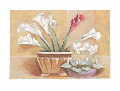 White And Red Callas by Gabor Barthez Pricing Limited Edition Print image