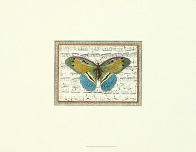 Butterfly Harmony Ii by Albertus Seba Pricing Limited Edition Print image