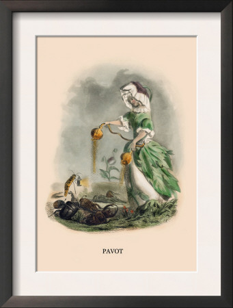 Pavot by J.J. Grandville Pricing Limited Edition Print image