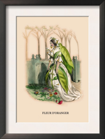 Fleur D'oranger by J.J. Grandville Pricing Limited Edition Print image