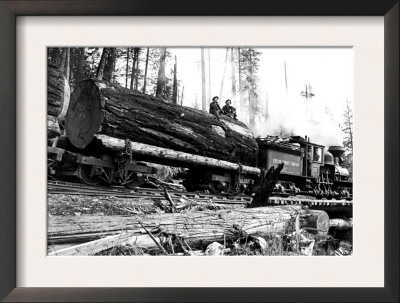 Transporting Fallen Old Growth by Clark Kinsey Pricing Limited Edition Print image