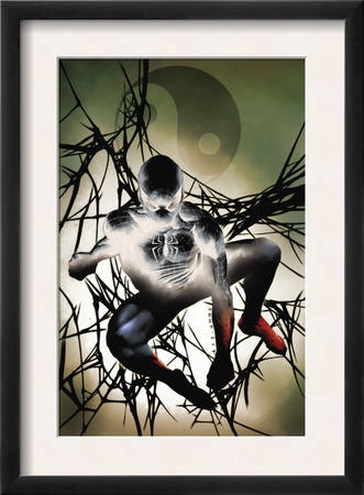 Dark Reign: Mister Negative #2 Cover: Spider-Man by Jae Lee Pricing Limited Edition Print image