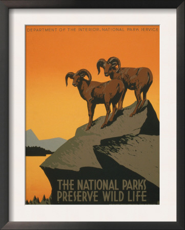 National Parks by J. Hirt Pricing Limited Edition Print image