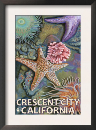 Crescent City, Ca - Tidepools, C.2009 by Lantern Press Pricing Limited Edition Print image