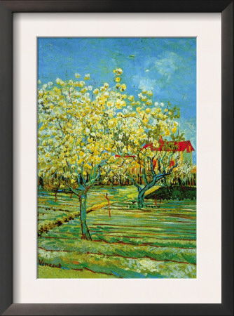 Orchard With Cypress by Vincent Van Gogh Pricing Limited Edition Print image