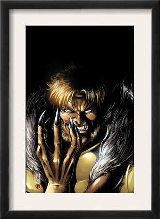 Wolverine #13 Cover: Sabretooth Fighting by Darick Robertson Pricing Limited Edition Print image