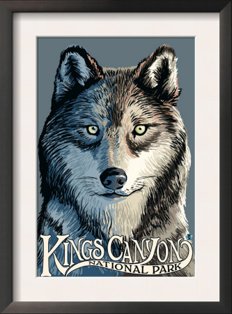 Kings Canyon Nat'l Park - Wolf Up Close - Lp Poster, C.2009 by Lantern Press Pricing Limited Edition Print image