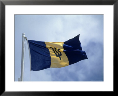 National Flag Of Barbados by Timothy O'keefe Pricing Limited Edition Print image
