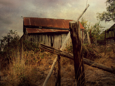 Shack #8 by Tracy Edgar Pricing Limited Edition Print image