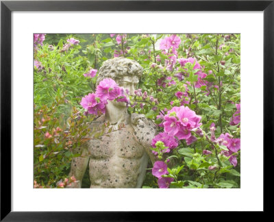 Lavatera X Clementii Burgundy Wine (Mallow) And Statue, Devon by Mark Bolton Pricing Limited Edition Print image