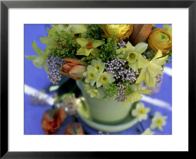 Pale Green Terracotta Pot Of Ranunculus (Buttercup) Tulipa (Tulip) by James Guilliam Pricing Limited Edition Print image
