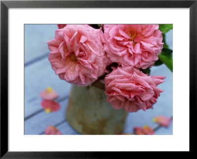 Ceramic Container, Filled With Climbing Rosa (Rose) 'Aloha' On Blue Rustic Table by James Guilliam Pricing Limited Edition Print image