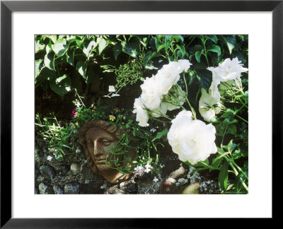 Wall Mounted Stone Head Container, With Viola Tricolor (Heartsease) Beside Rosa Iceberg by Sunniva Harte Pricing Limited Edition Print image