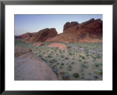 Semi-Arid Scrub Desert, Valley Of Fire State Park, Usa by Olaf Broders Pricing Limited Edition Print image