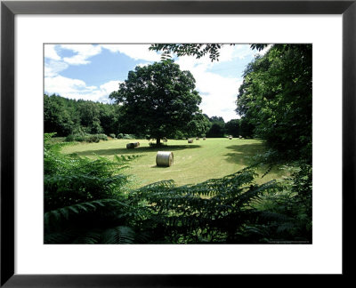 Hay Bales, Uk by David Cayless Pricing Limited Edition Print image
