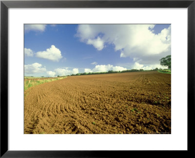 Field In Spring by Mike England Pricing Limited Edition Print image