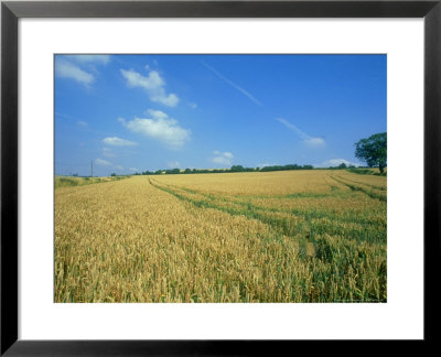 Field In Autumn by Mike England Pricing Limited Edition Print image