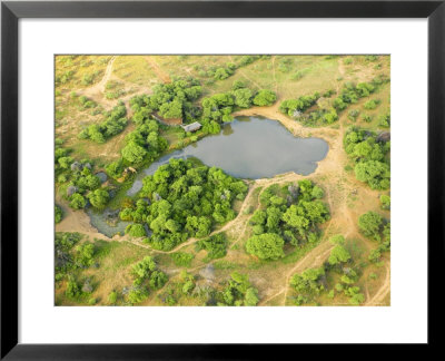 Aerial View Of Petes Pond Waterhole With African Elephant Drinking, Mashatu Game Reserve, Botswana by Roger De La Harpe Pricing Limited Edition Print image