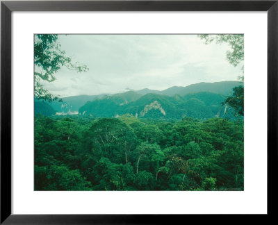 Mulu National Park, Borneo, Weather Time-Lapse, 6Pm by Rodger Jackman Pricing Limited Edition Print image