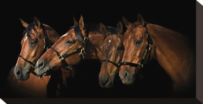 Family Of Horses by Melanie Snowhite Pricing Limited Edition Print image