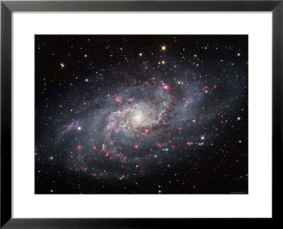 The Triangulum Galaxy by Stocktrek Images Pricing Limited Edition Print image