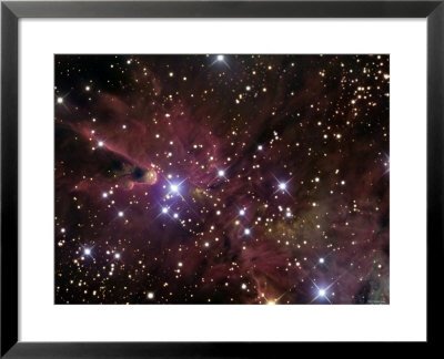 The Cone Nebula And Christmas Tree Cluster by Stocktrek Images Pricing Limited Edition Print image