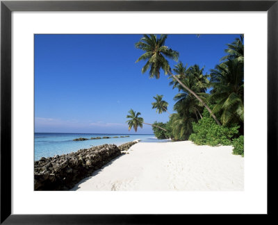 Nakatchafushi, Maldives, Indian Ocean by Robert Harding Pricing Limited Edition Print image