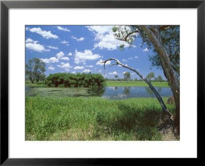 The Yellow Water Wetlands On Floodplain Of The Alligator River, Kakadu National Park, Australia by Robert Francis Pricing Limited Edition Print image