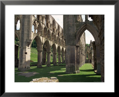 Rievaulx Abbey, Yorkshire, England, United Kingdom by Adam Woolfitt Pricing Limited Edition Print image