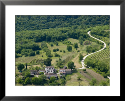 Croatia, Istria, Motovun, Countryside Landscape by Walter Bibikow Pricing Limited Edition Print image