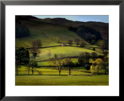 Yorkshire Dales Spring by Jody Miller Pricing Limited Edition Print image