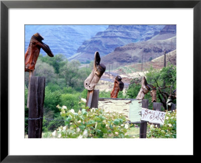 Weathered Boots On Fence Posts, Imnaha River Canyon, Oregon, Usa by William Sutton Pricing Limited Edition Print image