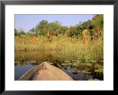 Mokoro Through Reeds And Papyrus, Okavango Delta, Botswana by Pete Oxford Pricing Limited Edition Print image