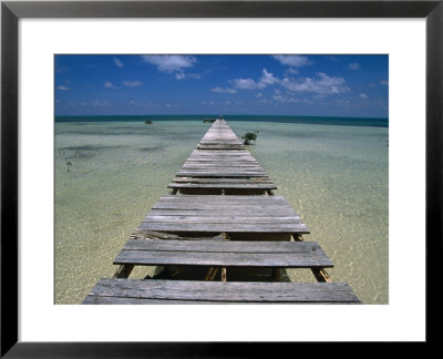 Wooden Pier With Broken Planks, Ambergris Caye, Belize by Doug Mckinlay Pricing Limited Edition Print image