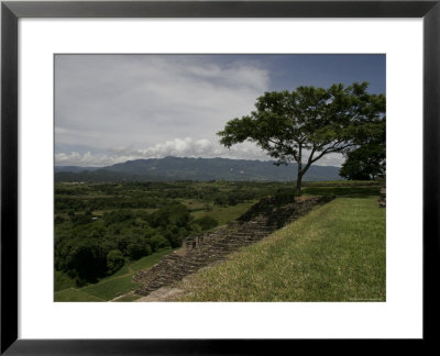 Tree And Mayan Ruins Of Tonina, Mexico by Gina Martin Pricing Limited Edition Print image