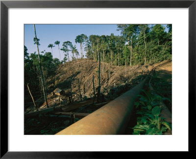 Oil Pipeline Running Through Amazon Basin Forests by Steve Winter Pricing Limited Edition Print image