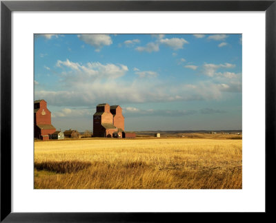 Grain Elevators Stand In A Prairie Ghost Town, Rowley, Alberta, Canada by Pete Ryan Pricing Limited Edition Print image